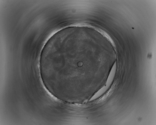 X0000101090855200807101547