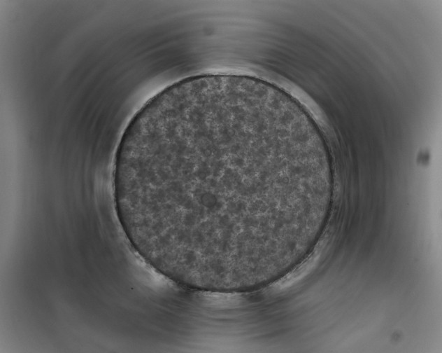 X0000101090856200807101547