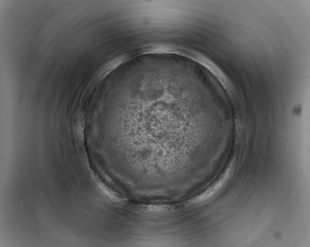 X0000101090857200807101547