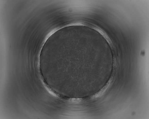 X0000101090858200807101547