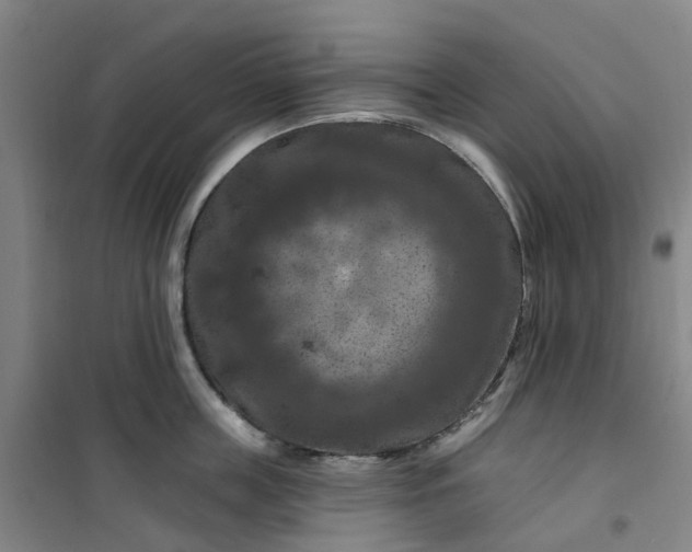 X0000101090859200807101547