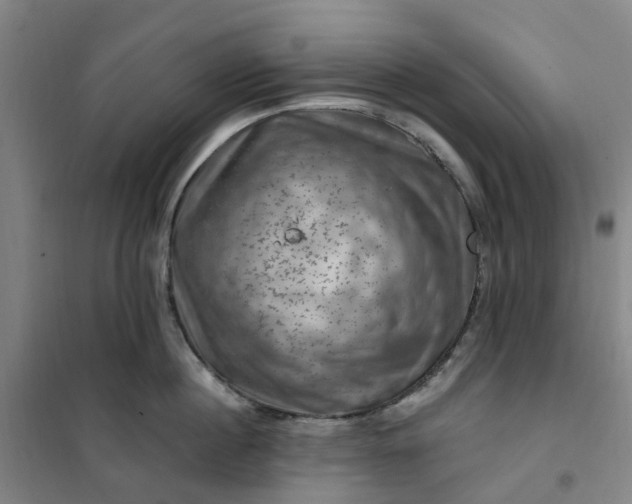 X0000101090860200807101547