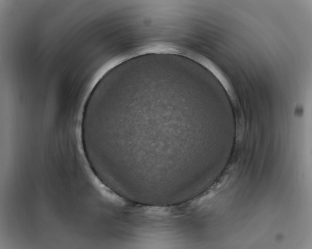 X0000101090861200807101547