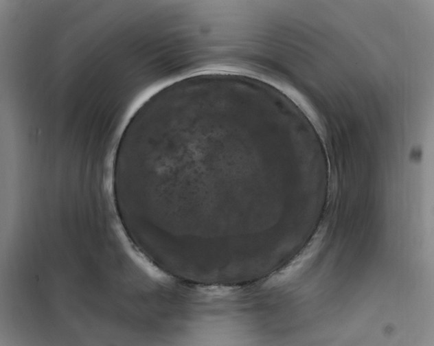 X0000101090862200807101547