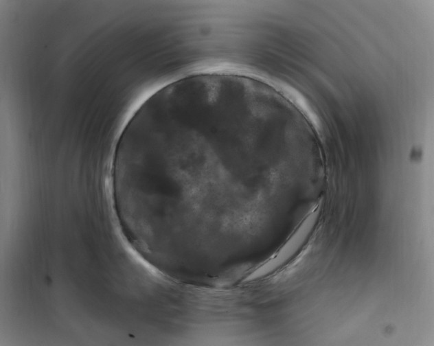 X0000101090863200807101547