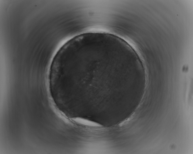 X0000101090864200807101547