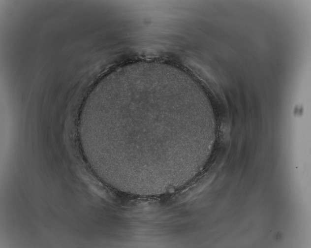 X0000101090865200807101546