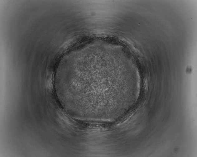 X0000101090866200807101546