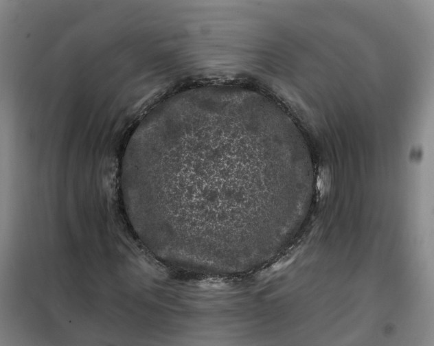 X0000101090867200807101546