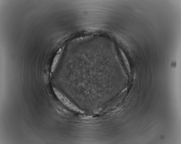 X0000101090868200807101546