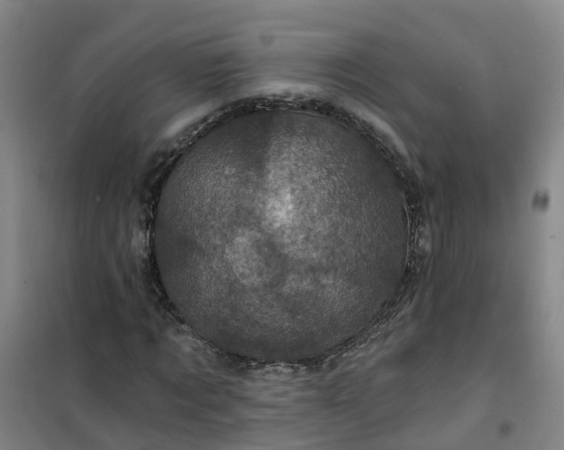 X0000101090869200807101546