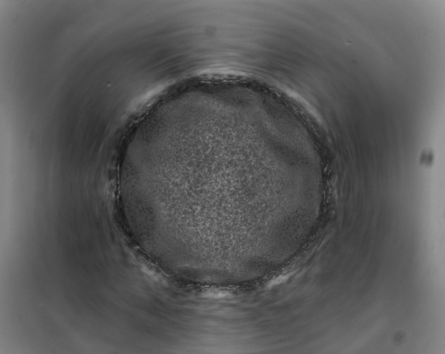 X0000101090870200807101546