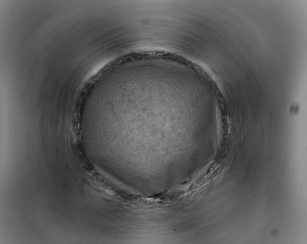 X0000101090871200807101546