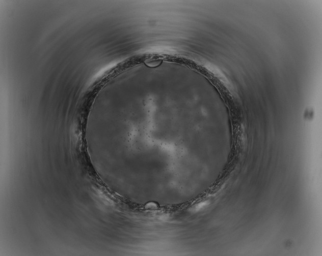 X0000101090872200807101546