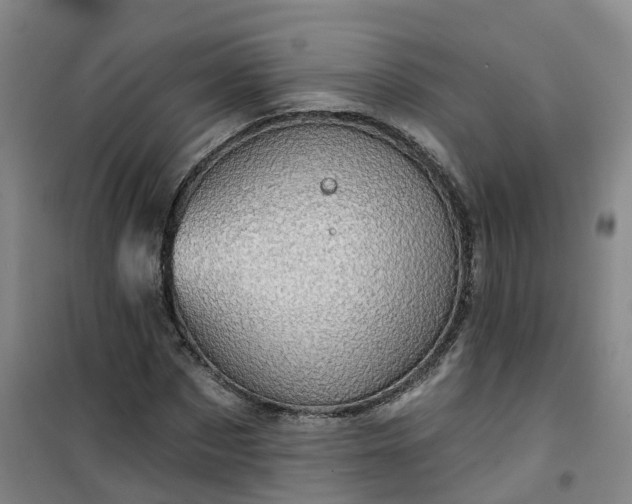 X0000101090873200807101546