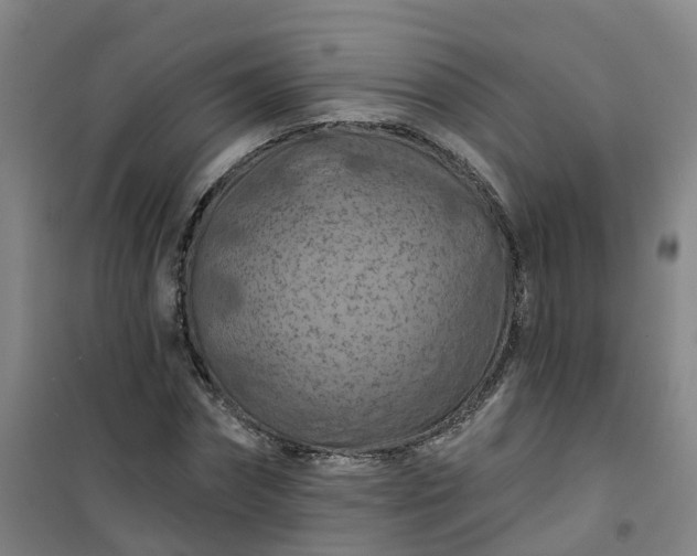 X0000101090874200807101546