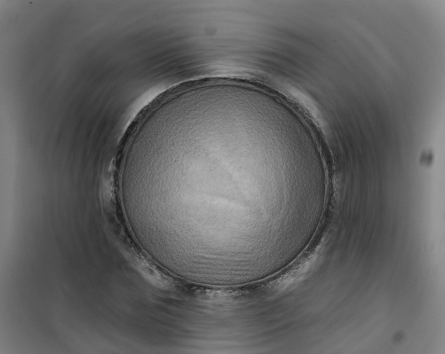 X0000101090875200807101546