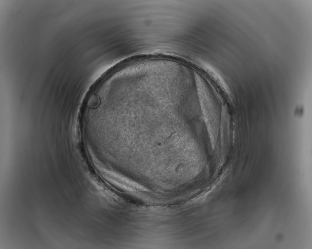 X0000101090876200807101546