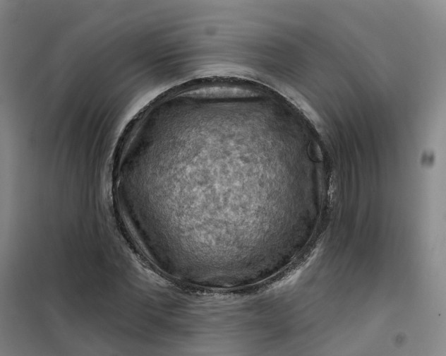 X0000101090877200807101546