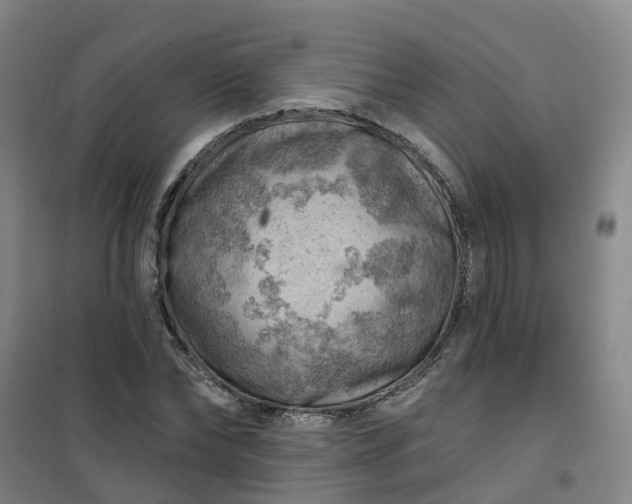 X0000101090878200807101546