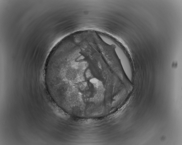 X0000101090879200807101546