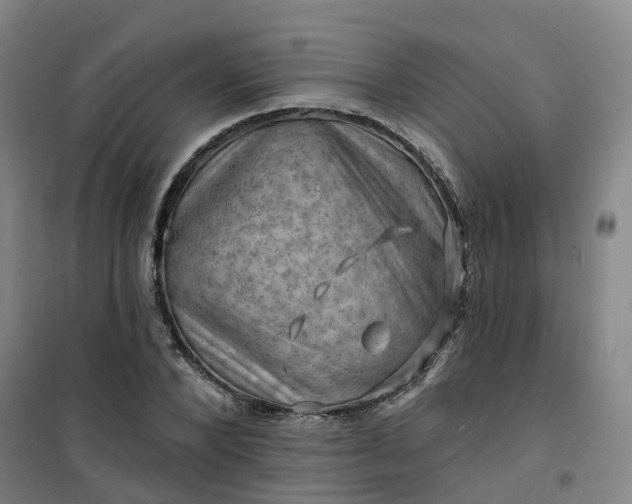 X0000101090880200807101546