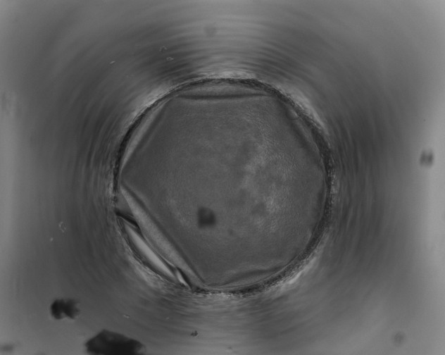 X0000101090881200807101546