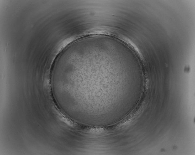 X0000101090882200807101546