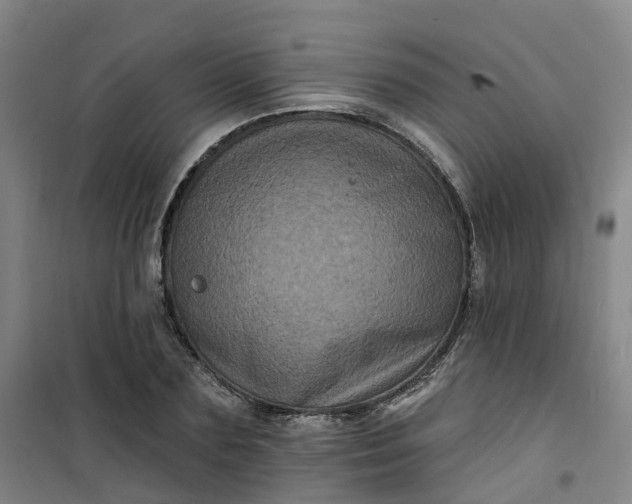 X0000101090883200807101546