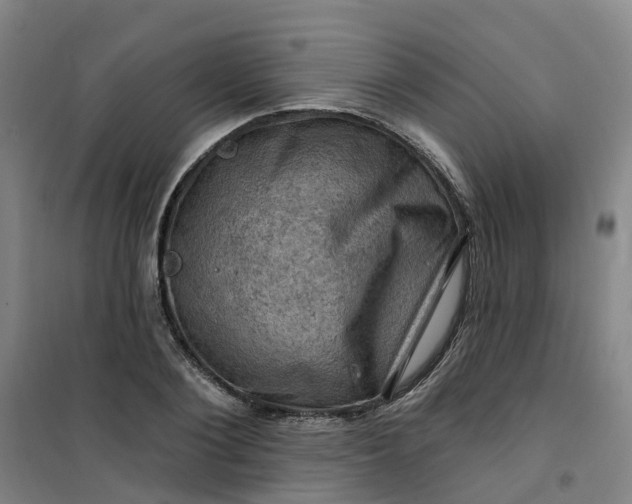 X0000101090884200807101546