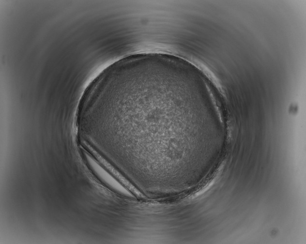 X0000101090885200807101546