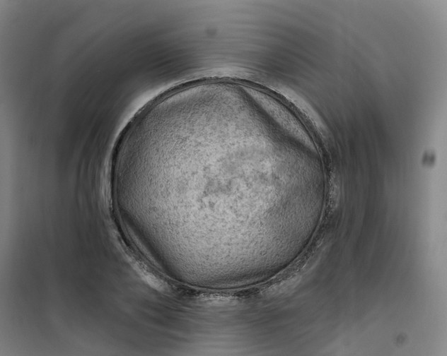 X0000101090886200807101546