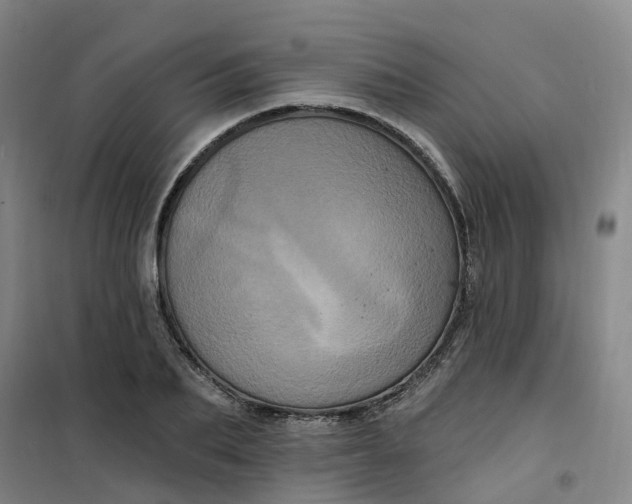 X0000101090887200807101546