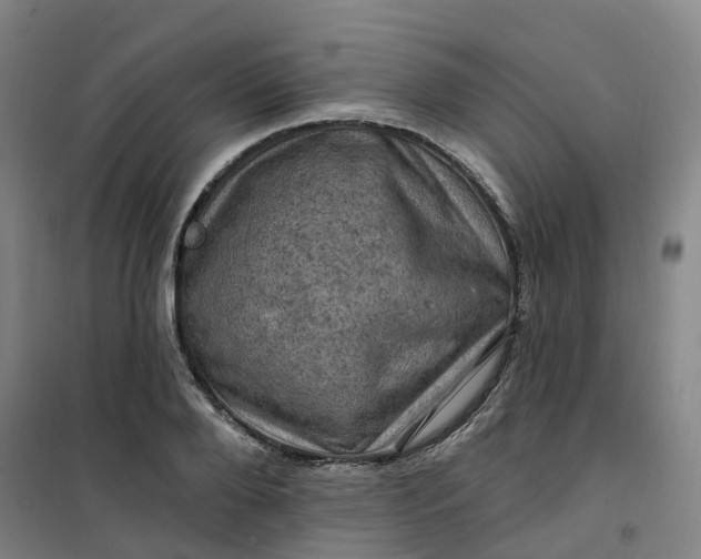 X0000101090888200807101546