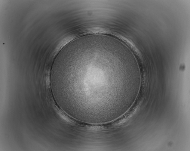 X0000101090889200807101546