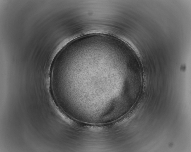 X0000101090890200807101546