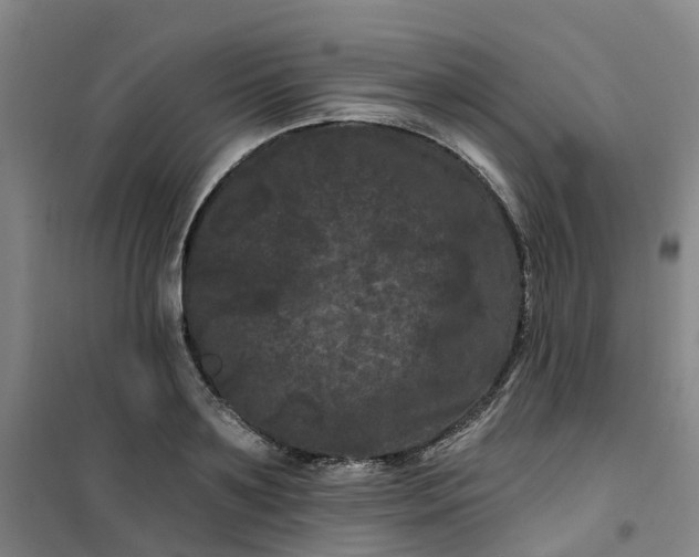 X0000101090891200807101546