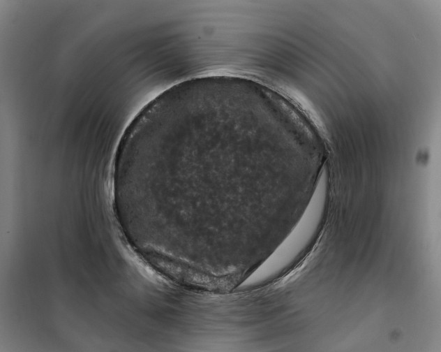 X0000101090892200807101546