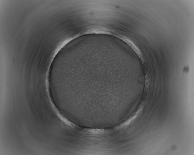 X0000101090893200807101546