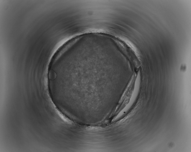 X0000101090894200807101546