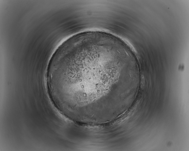 X0000101090895200807101546