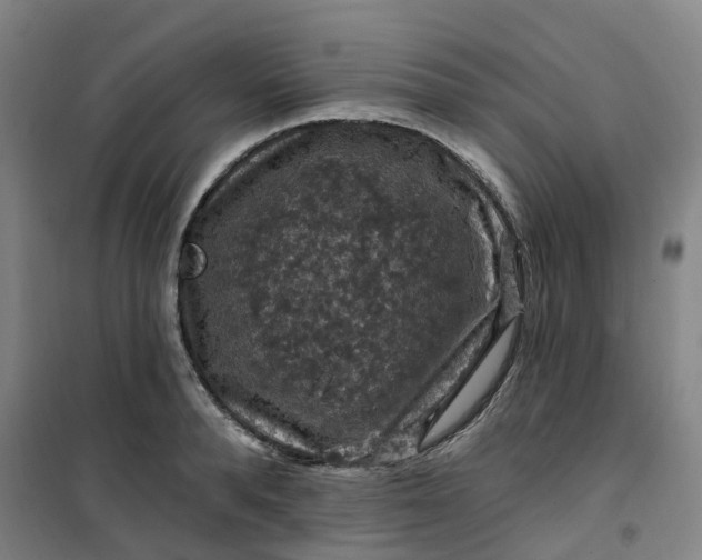 X0000101090896200807101546