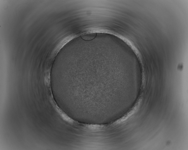 X0000101090897200807101546