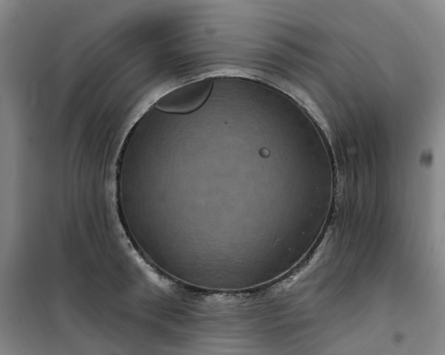 X0000101090898200807101546