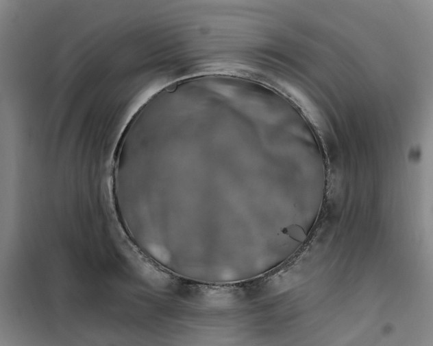 X0000101090899200807101546