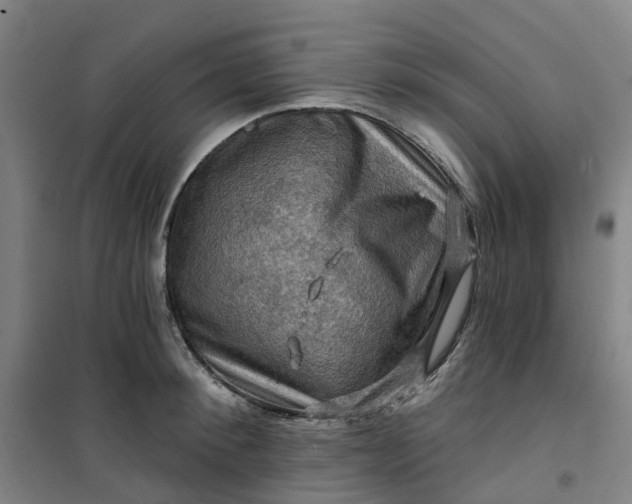 X0000101090900200807101546