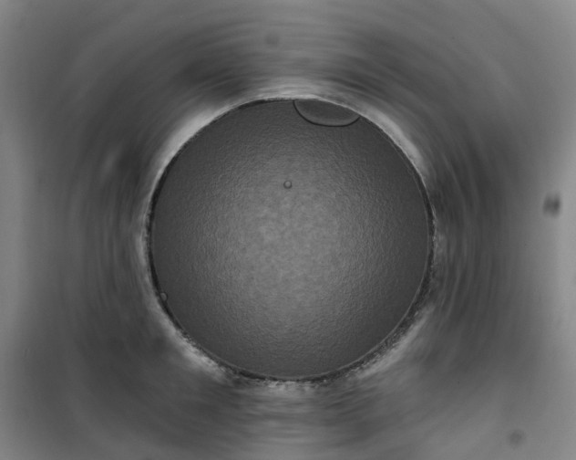 X0000101090901200807101546