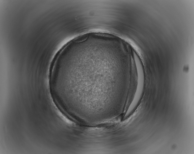 X0000101090902200807101546