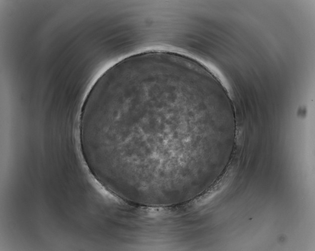 X0000101090903200807101546