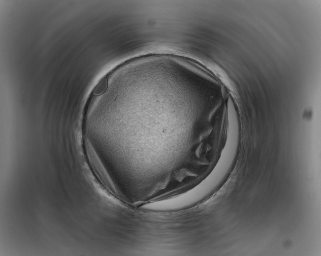 X0000101090904200807101546